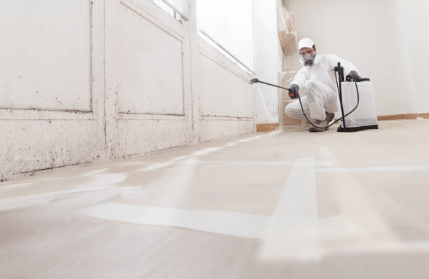 24/7 Emergency Basement Mold Remediation experts in Hydes, MD